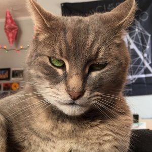 Meet your Posher, Mary